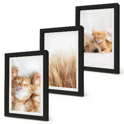 Tríptico enmarcado con animales lindos como gatos y perros entre hierba delicada de estilo boho