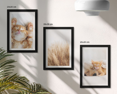 Tríptico enmarcado Animales lindos gatos perros hierba delicada boho