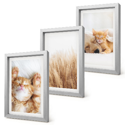 Tríptico enmarcado Animales lindos gatos perros hierba delicada boho
