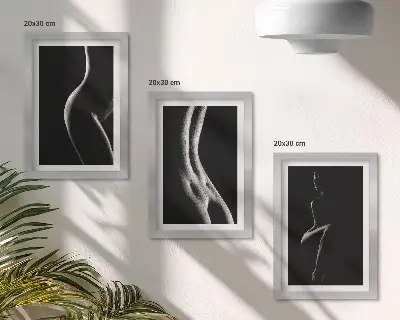 Juego de 3 cuadros decorativos de siluetas femeninas eróticas en blanco y negro