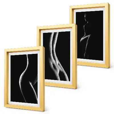 Juego de 3 cuadros decorativos de siluetas femeninas eróticas en blanco y negro