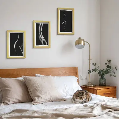 Juego de 3 cuadros decorativos de siluetas femeninas eróticas en blanco y negro