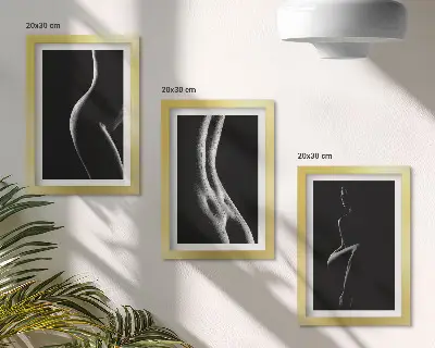 Juego de 3 cuadros decorativos de siluetas femeninas eróticas en blanco y negro