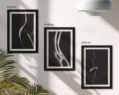 Juego de 3 cuadros decorativos de siluetas femeninas eróticas en blanco y negro