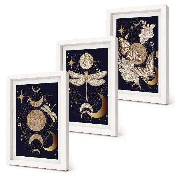 Juego de 3 cuadros decorativos con motivos de la naturaleza incluyendo la luna, el espacio y flores