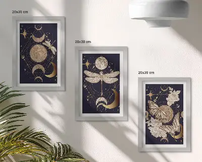 Juego de 3 cuadros decorativos con motivos de la naturaleza incluyendo la luna, el espacio y flores