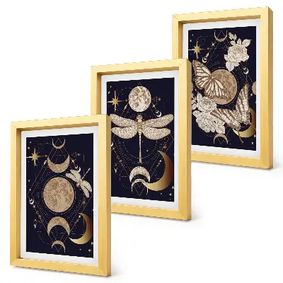 Juego de 3 cuadros decorativos con motivos de la naturaleza incluyendo la luna, el espacio y flores