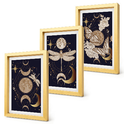 Juego de 3 cuadros decorativos Motivos de la naturaleza con la luna, el espacio y las flores.