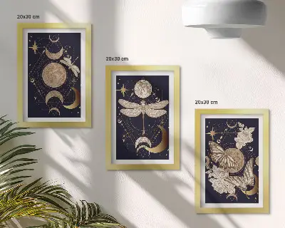 Juego de 3 cuadros decorativos con motivos de la naturaleza incluyendo la luna, el espacio y flores
