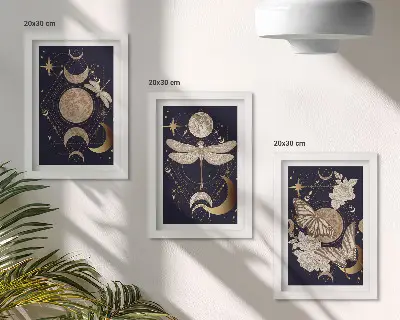 Juego de 3 cuadros decorativos con motivos de la naturaleza incluyendo la luna, el espacio y flores