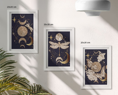 Juego de 3 cuadros decorativos Motivos de la naturaleza con la luna, el espacio y las flores.