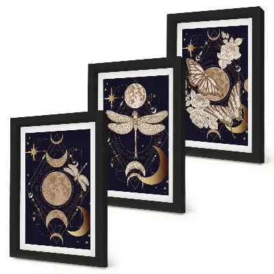 Juego de 3 cuadros decorativos con motivos de la naturaleza incluyendo la luna, el espacio y flores