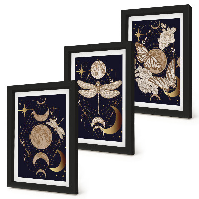 Juego de 3 cuadros decorativos Motivos de la naturaleza con la luna, el espacio y las flores.