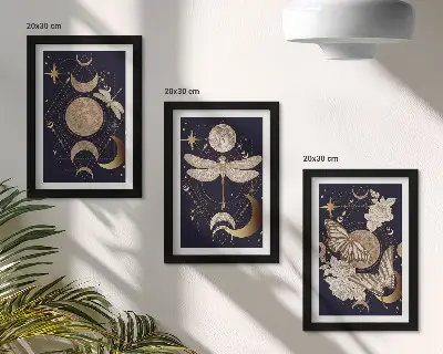 Juego de 3 cuadros decorativos con motivos de la naturaleza incluyendo la luna, el espacio y flores