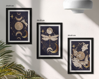 Juego de 3 cuadros decorativos Motivos de la naturaleza con la luna, el espacio y las flores.
