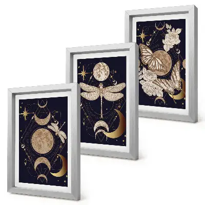 Juego de 3 cuadros decorativos con motivos de la naturaleza incluyendo la luna, el espacio y flores