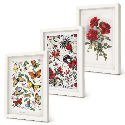 Tríptico enmarcado Mariposas, flores y rosas rojas en un estilo clásico.