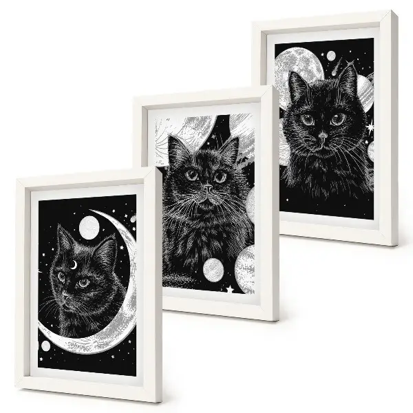Juego de 3 cuadros decorativos con diseño de gatos negros, luna y planetas en el espacio