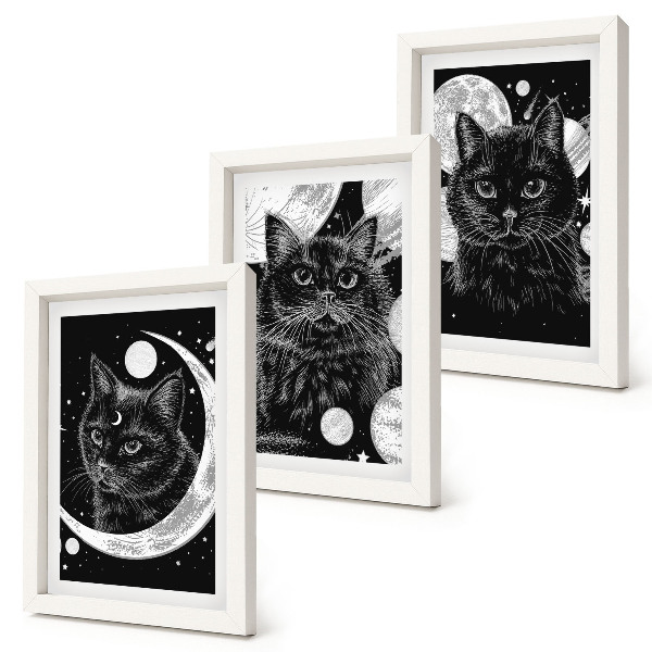 Juego de 3 cuadros decorativos Gatos negros con la luna y los planetas de fondo en el espacio.