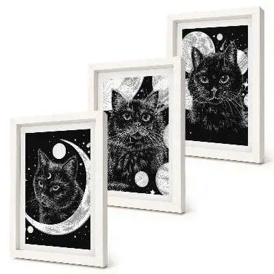 Juego de 3 cuadros decorativos con diseño de gatos negros, luna y planetas en el espacio