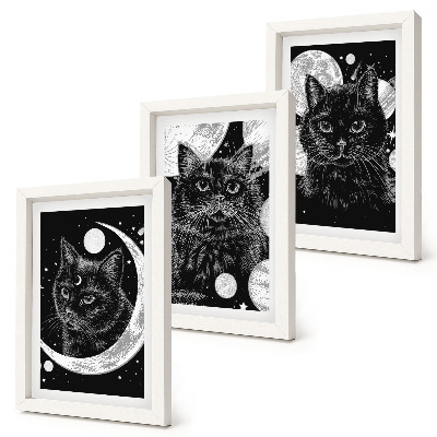 Juego de 3 cuadros decorativos Gatos negros con la luna y los planetas de fondo en el espacio.