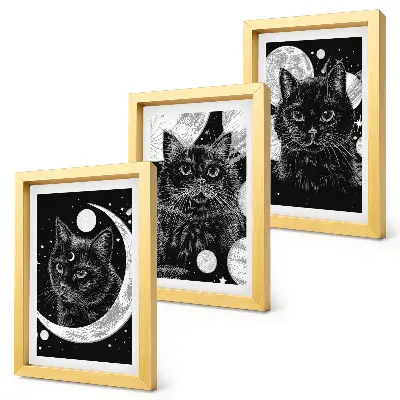 Juego de 3 cuadros decorativos con diseño de gatos negros, luna y planetas en el espacio