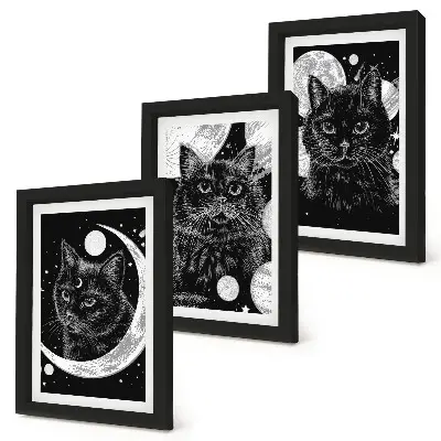 Juego de 3 cuadros decorativos con diseño de gatos negros, luna y planetas en el espacio