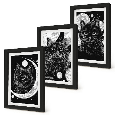 Juego de 3 cuadros decorativos Gatos negros con la luna y los planetas de fondo en el espacio.