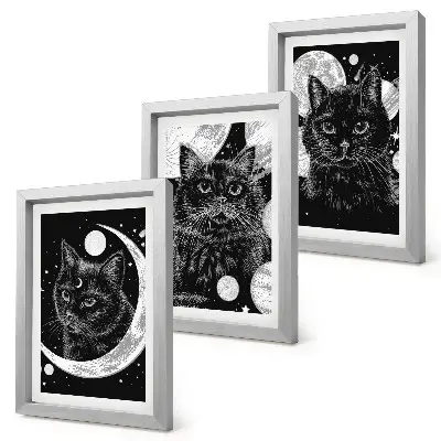 Juego de 3 cuadros decorativos con diseño de gatos negros, luna y planetas en el espacio