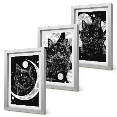 Juego de 3 cuadros decorativos Gatos negros con la luna y los planetas de fondo en el espacio.