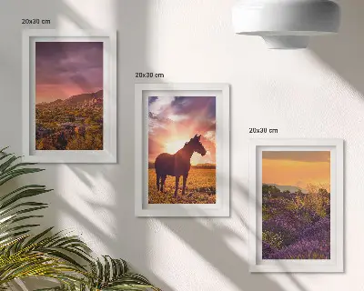 Tríptico de paisajes de montaña con caballos y campos de lavanda enmarcado