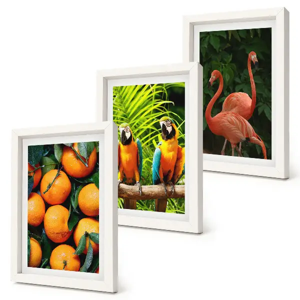 Tríptico enmarcado con diseño de toques frutales, loros y flamencos en el trópico