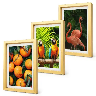 Tríptico enmarcado con diseño de toques frutales, loros y flamencos en el trópico