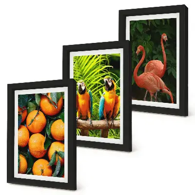 Tríptico enmarcado con diseño de toques frutales, loros y flamencos en el trópico
