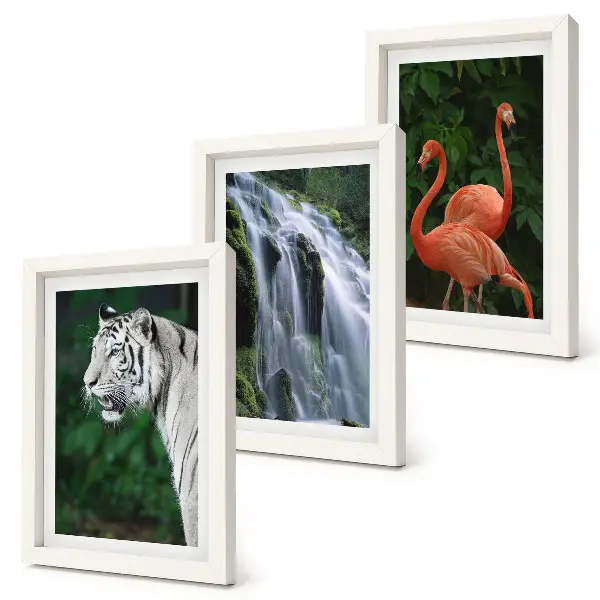 Juego de 3 cuadros decorativos de cascada del tigre y flamencos rosados en la naturaleza