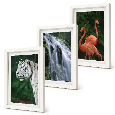 Juego de 3 cuadros decorativos de cascada del tigre y flamencos rosados en la naturaleza