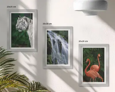 Juego de 3 cuadros decorativos de cascada del tigre y flamencos rosados en la naturaleza