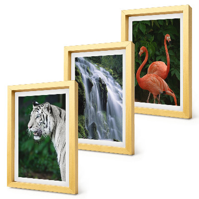 Juego de 3 cuadros decorativos Cascada del Tigre y flamencos rosados ​​en la naturaleza