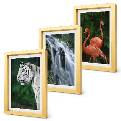 Juego de 3 cuadros decorativos de cascada del tigre y flamencos rosados en la naturaleza