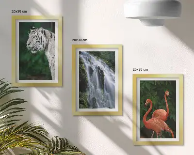 Juego de 3 cuadros decorativos de cascada del tigre y flamencos rosados en la naturaleza