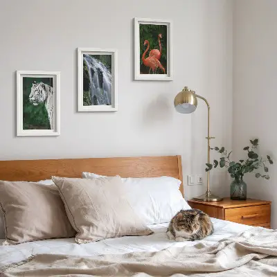 Juego de 3 cuadros decorativos de cascada del tigre y flamencos rosados en la naturaleza