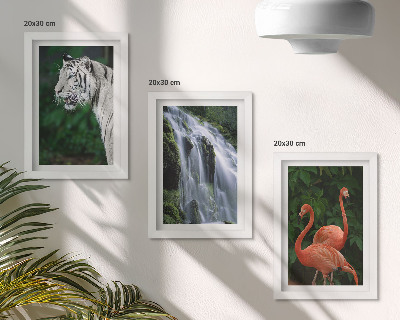 Juego de 3 cuadros decorativos Cascada del Tigre y flamencos rosados ​​en la naturaleza