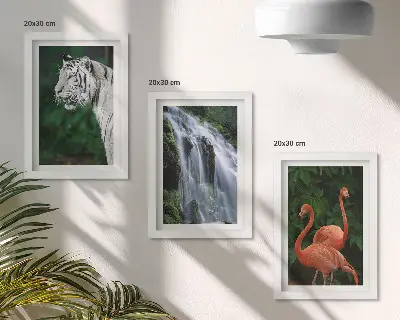 Juego de 3 cuadros decorativos de cascada del tigre y flamencos rosados en la naturaleza