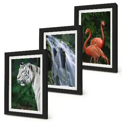 Juego de 3 cuadros decorativos de cascada del tigre y flamencos rosados en la naturaleza