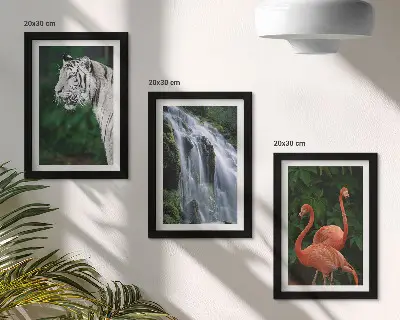 Juego de 3 cuadros decorativos de cascada del tigre y flamencos rosados en la naturaleza