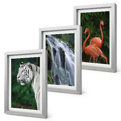 Juego de 3 cuadros decorativos de cascada del tigre y flamencos rosados en la naturaleza