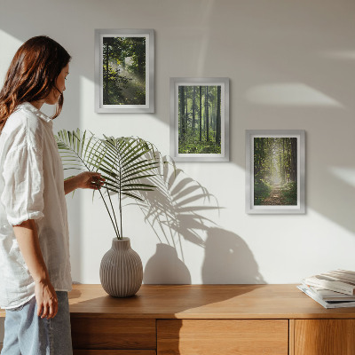 Juego de 3 cuadros decorativos Bosques verdes con rayos de luz y un sendero forestal