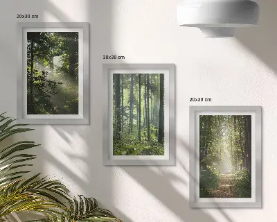 Juego de 3 cuadros decorativos con diseño de bosques verdes y sendero forestal bajo rayos de luz