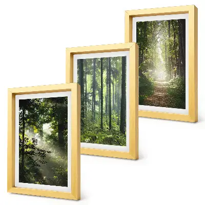 Juego de 3 cuadros decorativos con diseño de bosques verdes y sendero forestal bajo rayos de luz