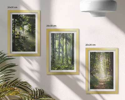 Juego de 3 cuadros decorativos Bosques verdes con rayos de luz y un sendero forestal